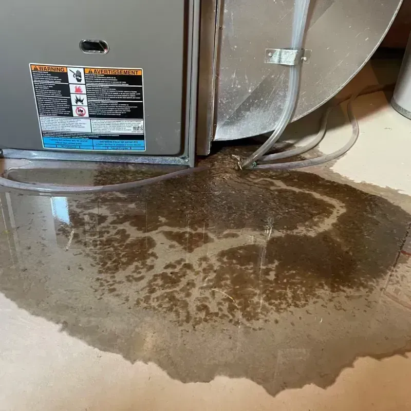 Appliance Leak Cleanup in Pecatonica, IL